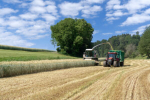 GPS - Ganzpflanzensilage mit Häcksler und Traktor